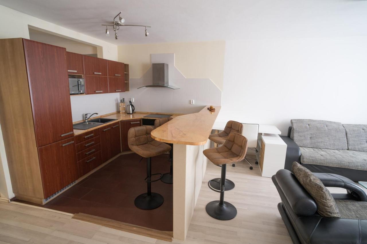 Apartment Vodni With Parking Brno Buitenkant foto