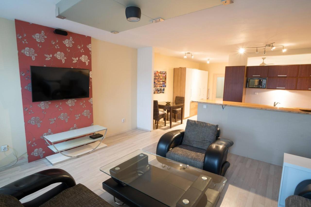Apartment Vodni With Parking Brno Buitenkant foto